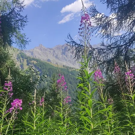 דירה Orion En Ovronnaz *